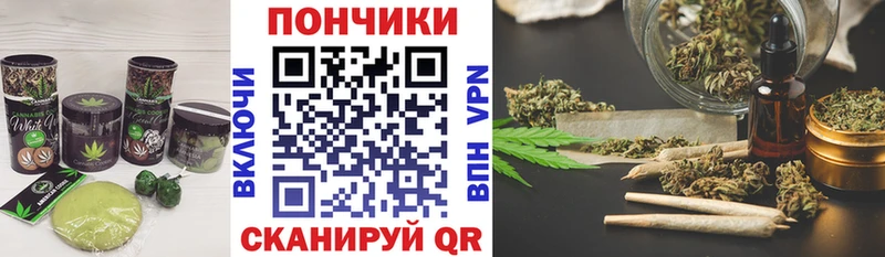 где можно купить   Чернушка  гидра зеркало  Cannafood конопля 