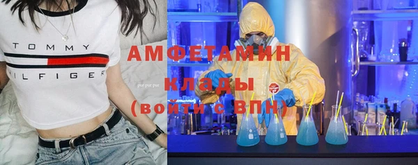 шишки Вязьма